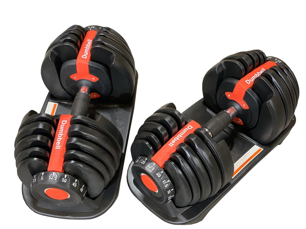 BRAND NEW in Box 2 x 24kg Adjustable Dumbbell Home GYM Exercise Equipment Weight Fitness 48kg