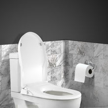 Load image into Gallery viewer, Toilet Bidet Seat Non Electric Hygiene Dual Nozzles Spray Wash Bathroom D shape
