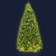 Load image into Gallery viewer, Jingle Jollys Christmas Tree 1.8M With 874 LED Lights Warm White Green