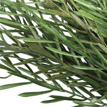 Load image into Gallery viewer, Native Tea Tree Stem UV Resistant 45cm